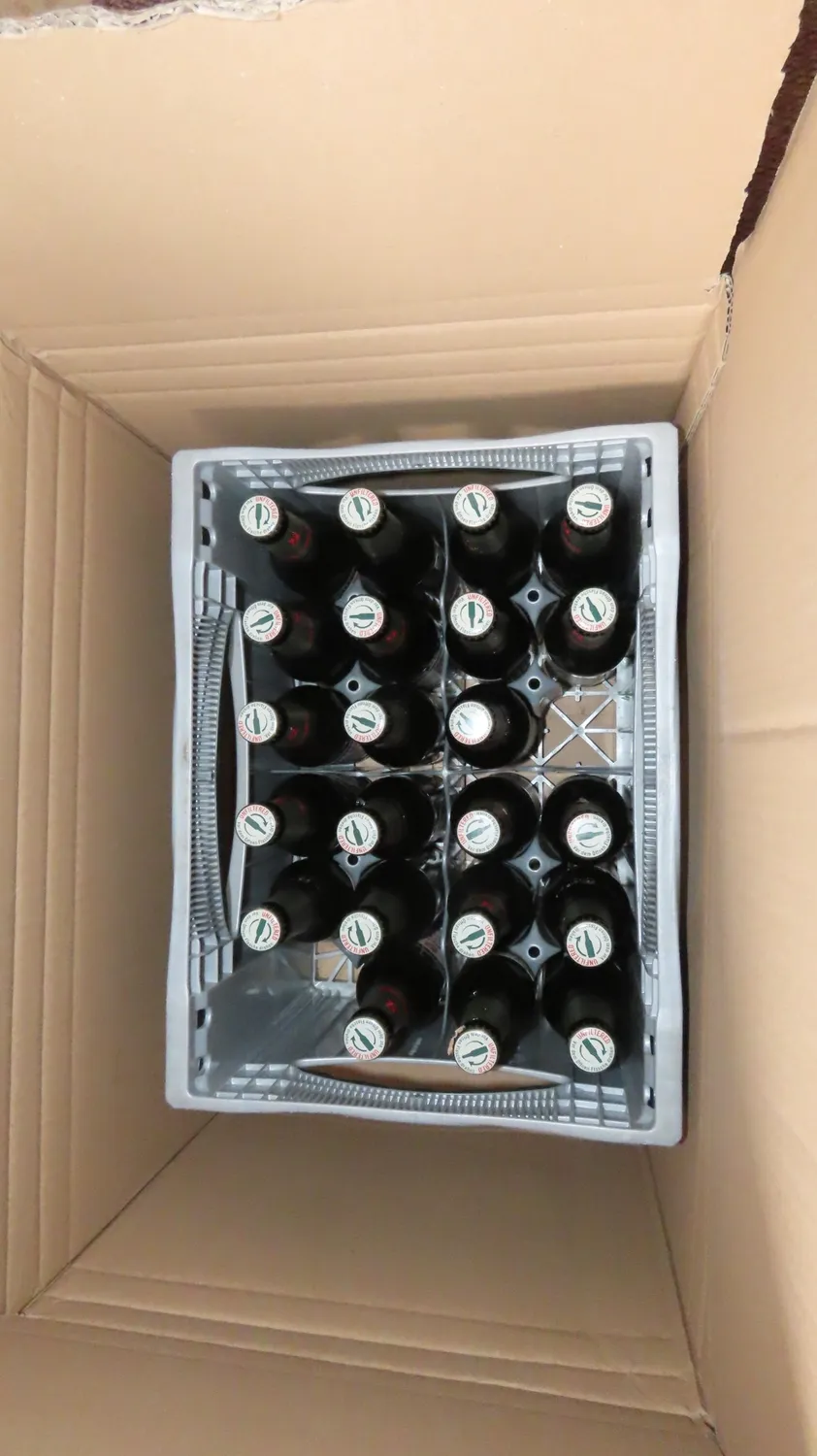 Beck's Unfiltered Pils Flaschenbier 24x0,33l naturtrüb