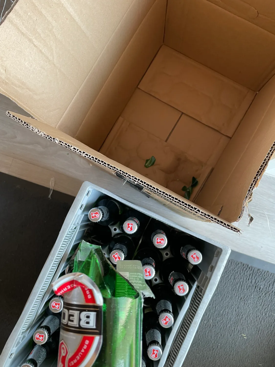 Beck's Pils Flaschenbier 24x0,33l Kasten trocken-frisch