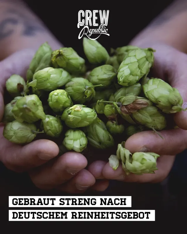 Crew Republic IPA Mix Bier Probierset 20x0,33l hopfig