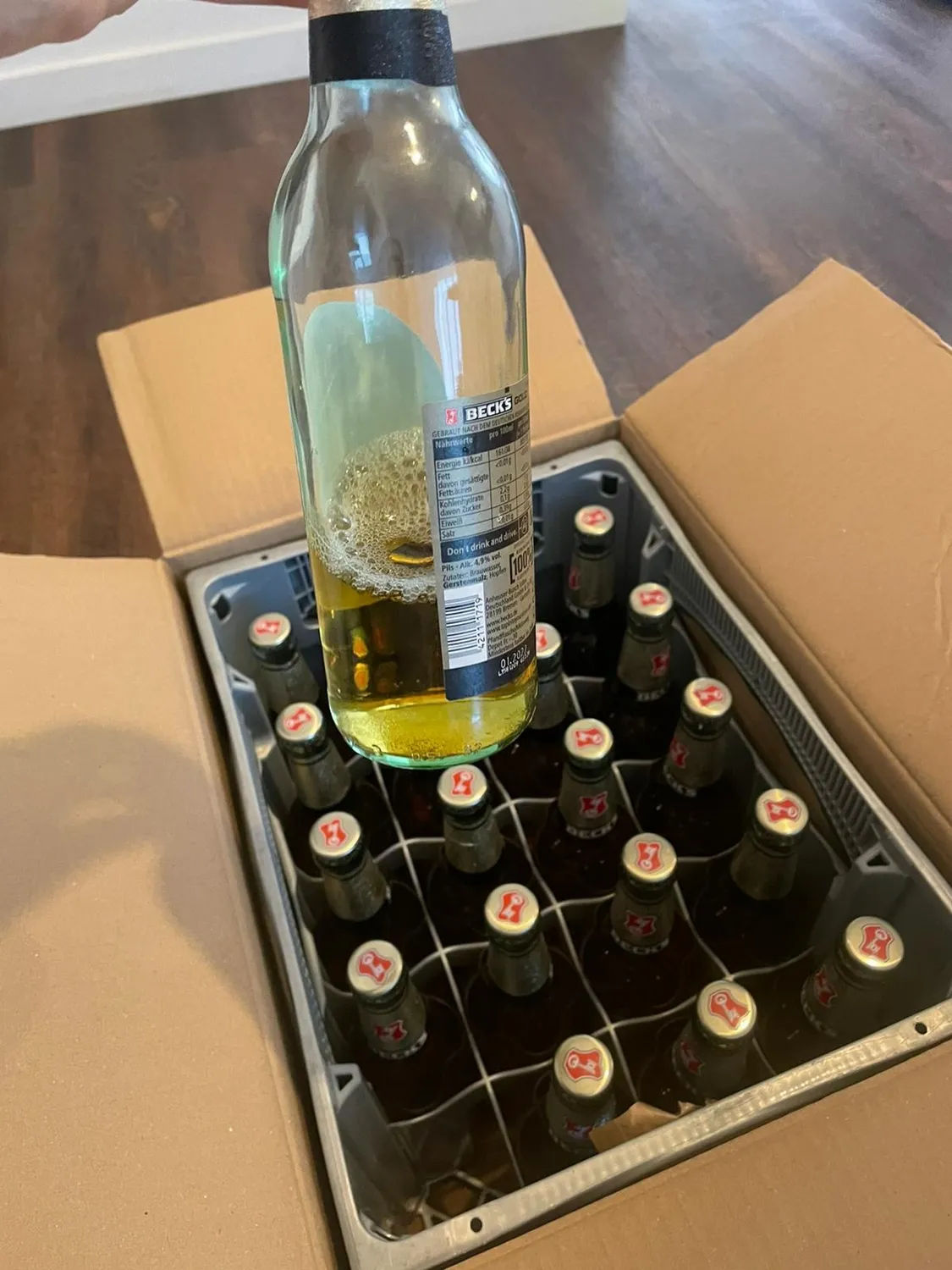 Beck's Gold PerfectDraft Fassbier 6l mild