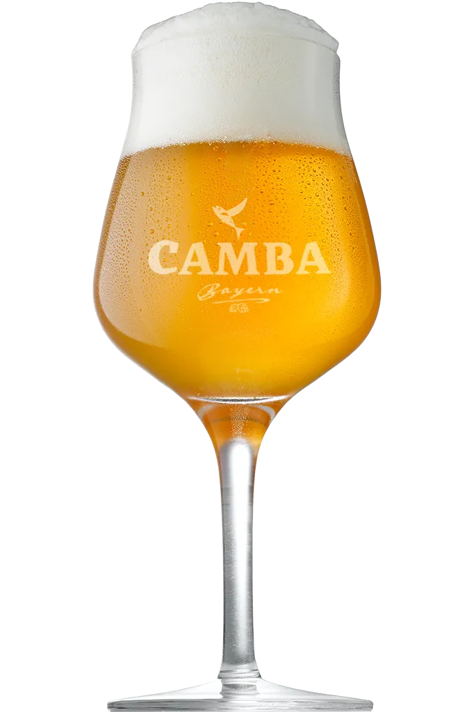 Camba IPA Bier Dose fruchtig Mango Kiwi