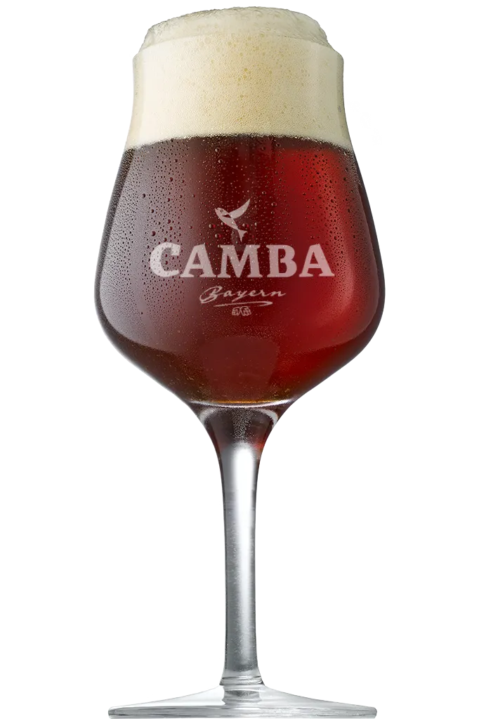 Camba Bier Abo 6er Paket 440 ml Dose