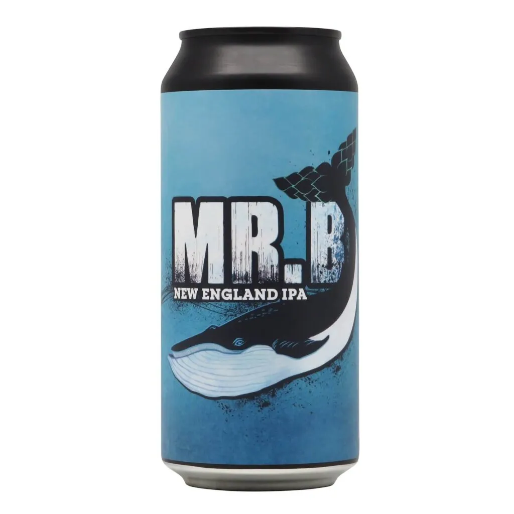 Buddelship Big Cans Zwischenbier Probierpaket 12 Dosen
