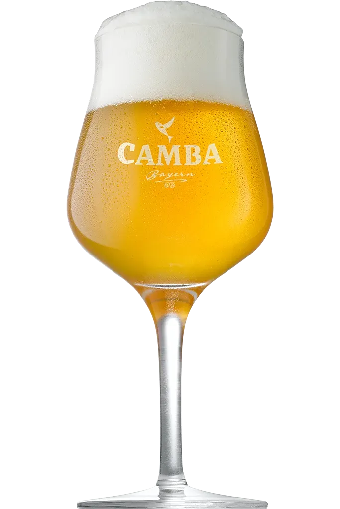 Camba Sensorik Glas Pokal 0,33 L 4er-Set