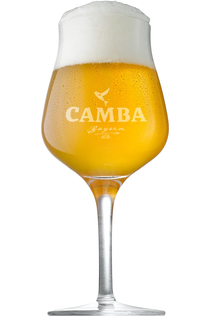 Camba Braumeister Edition 96 Green Lion Pils Dose