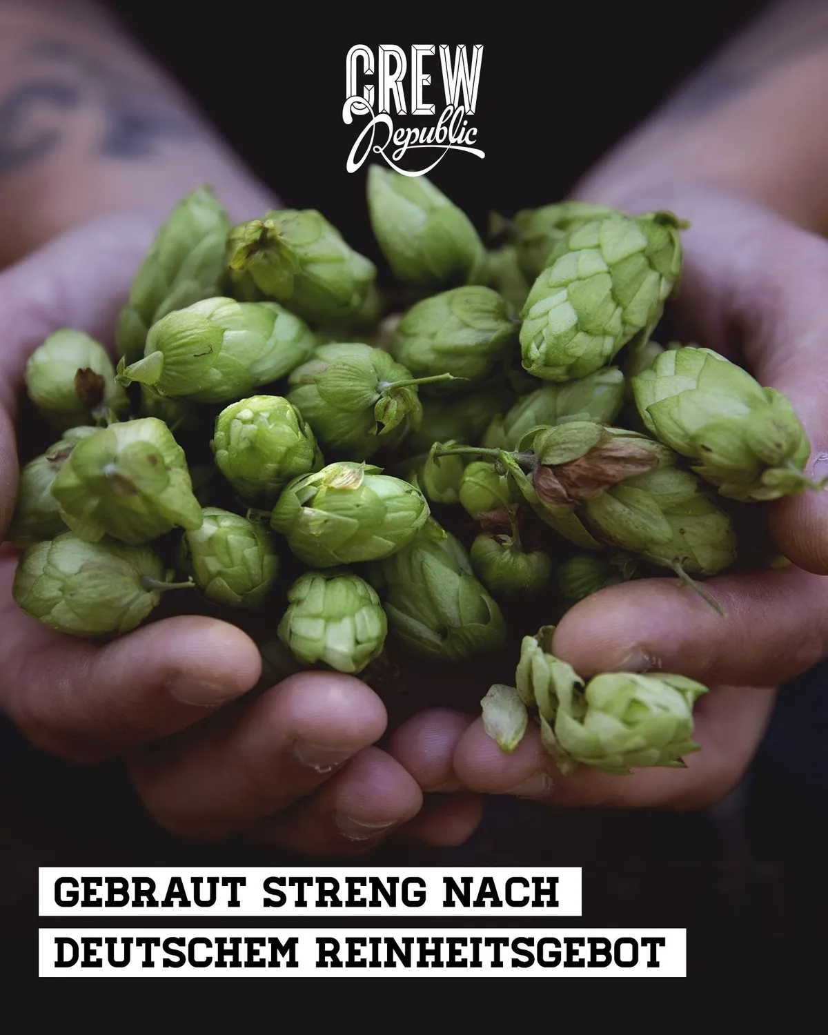 Crew Republic Drunken Sailor IPA Bier 20x0,33l